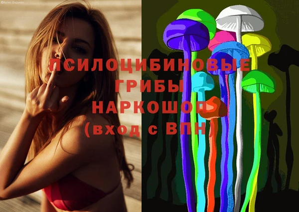 прущая мука Гусев