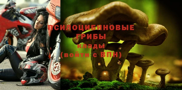 ПСИЛОЦИБИНОВЫЕ ГРИБЫ Балахна